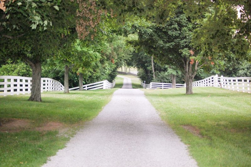 Local Driveway Installation in Pine Bluff, AR